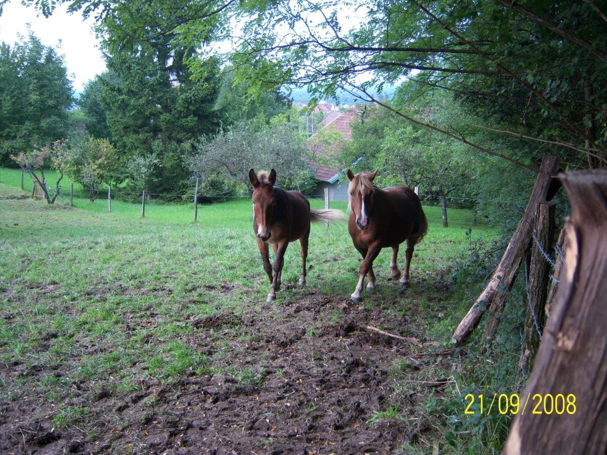 2 Chambres D'Hotes Privees Louees Separement Avec Communs A Partager Beaufort  Exterior foto