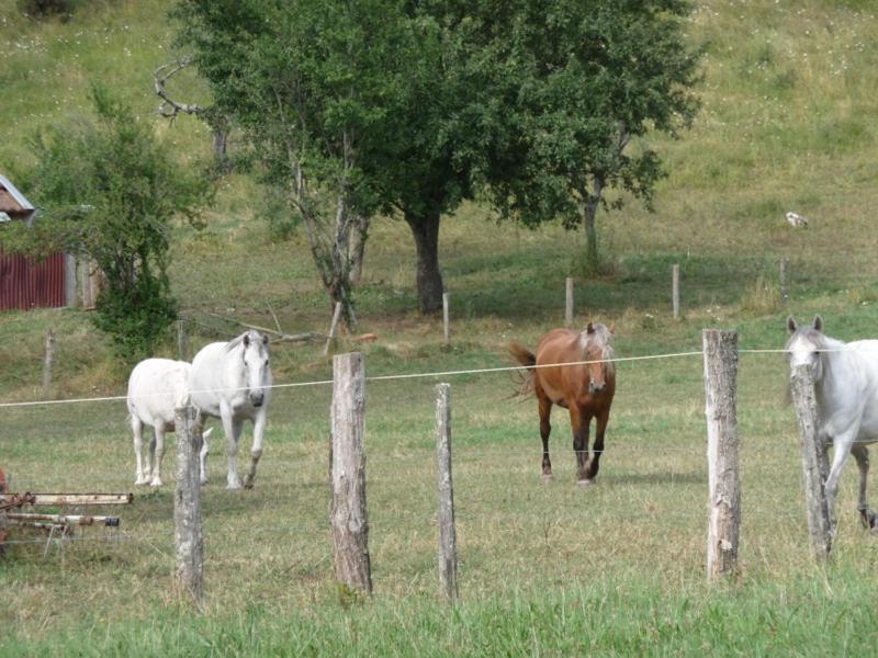 2 Chambres D'Hotes Privees Louees Separement Avec Communs A Partager Beaufort  Exterior foto